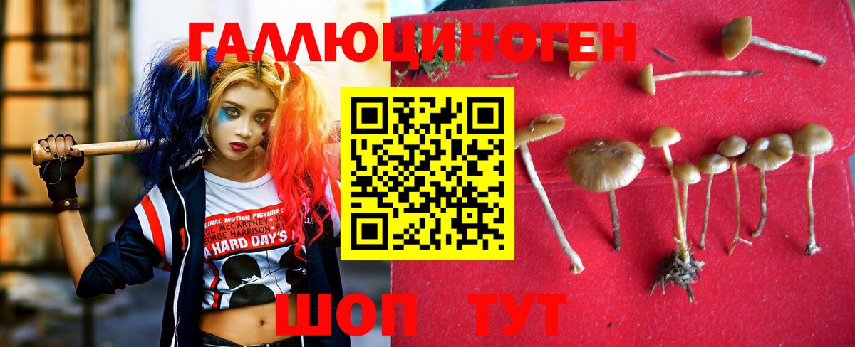 Псилоцибиновые грибы ЛСД Иркутск